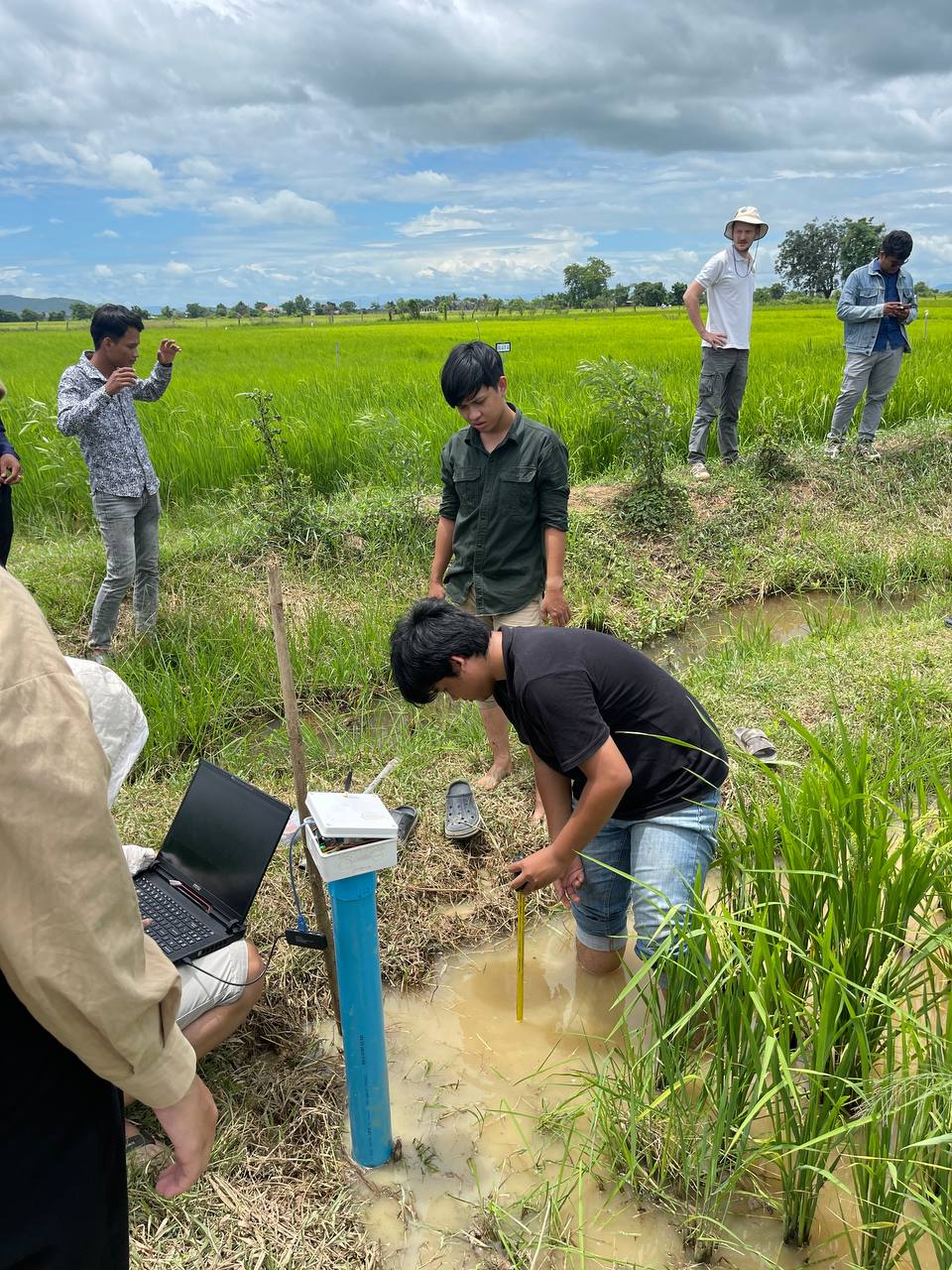 People examining a water-monitoring device in a rice field